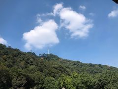 -韬光茶庵