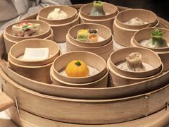 -鹿园 MOOSE(长宁店)