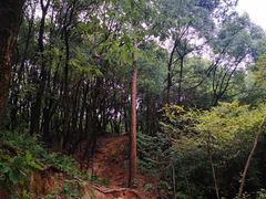 -灵岩山风景区