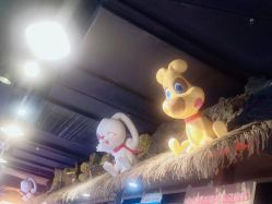 -卡通尼·Safari非洲探索乐园·生日会(金桥国际商业广场店)