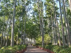 -仁和公园(顺义区)