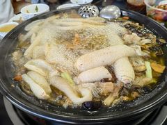 -江川野生菌火锅铜锅鱼(贵清火锅店)