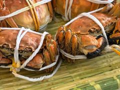 -蟹天蟹地农家菜·阳澄湖大闸蟹(浅水湾店)