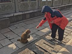 -句容茅山景区