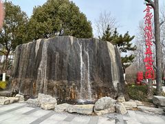 -合肥滨湖国家森林公园