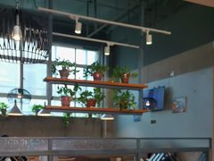 -比格比萨自助(国展店)