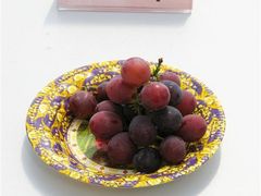 -马陆小张葡萄园农家乐