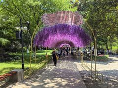 -狼山风景名胜区