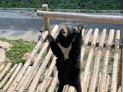 -大连森林动物园