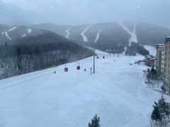 -亚布力新体委滑雪场