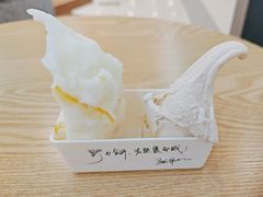-野人先生Gelato(上海长宁龙之梦店)