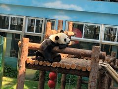 -大连森林动物园