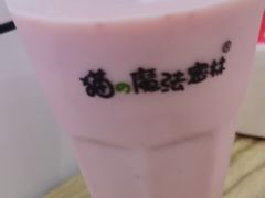 -猫的魔法密林(衣裳街店)
