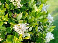 -漩门湾国家湿地公园