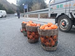-水峪民俗村