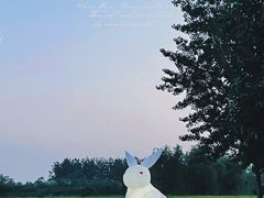 -焦岗湖影视城