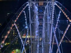 -飞来湖湿地公园