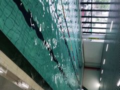 -蓝海豚游泳俱乐部(南京西路店)