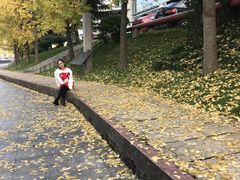 -百林公园-两江幸福广场
