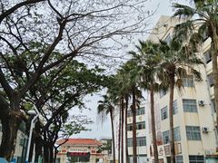 -三亚市第二中学