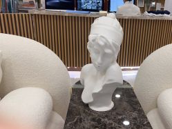 -智美品质医美