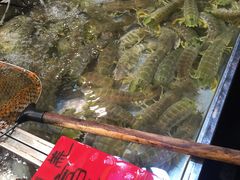 -湛江渔港·大排档(乐园路总店)