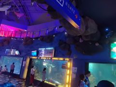 -烟台海昌鲸鲨海洋公园