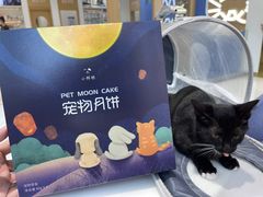 -希望动物医院(汉阳院)