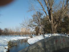 -长白岛森林公园