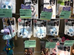 -龟与熊猫宠物公园(南坪店)