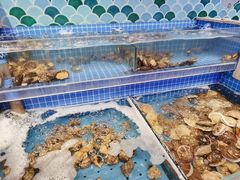 水产区-乔哥铭洋海鲜自助(皇城恒隆广场店)