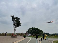 -空港花田景区