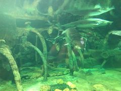 -华夏文旅海洋公园