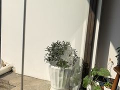 -院子餐厅·大锅菜·老杭帮(桥西直街店)
