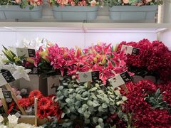 -宜家家居(高新商场店)