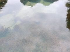 -靖西鹅泉风景区
