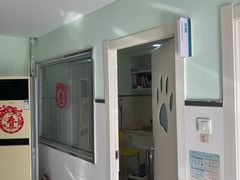 -佳雯宠物医院·皮肤科·内外科(春晓路分院)