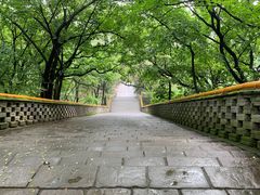 -沈阳市东陵公园