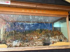 -岚山嵯峨野观光小火车