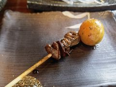 -鸟鹏烧鸟居酒屋(龙岗万科店)