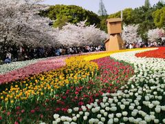 -苏州上方山国家森林公园