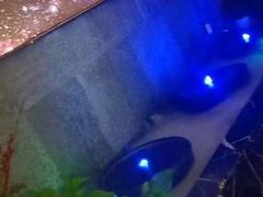 -润和养生·影音足道·按摩SPA(虹梅路店)