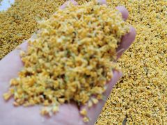 -自在弥林花园餐厅(云栖店)