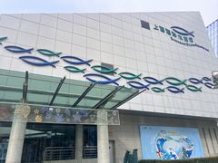 -上海海洋水族馆