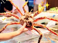 -连鹭海鲜·海肠捞饭·海胆饭(星海店)