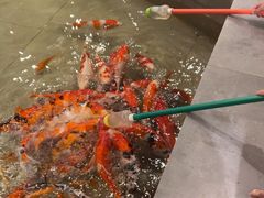 -天河城购物中心