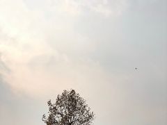 -钟山体育运动公园