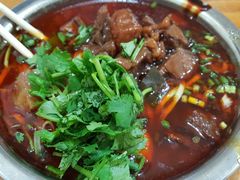 手工粉牛腩-老福庆和特色粉面馆(单洞三路店)