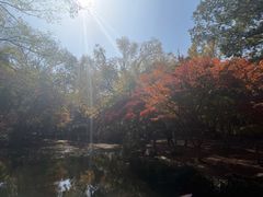 -秋霞圃