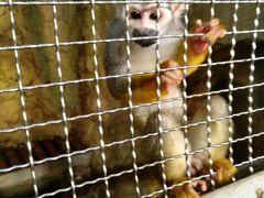 -成都浩海立方海洋公园